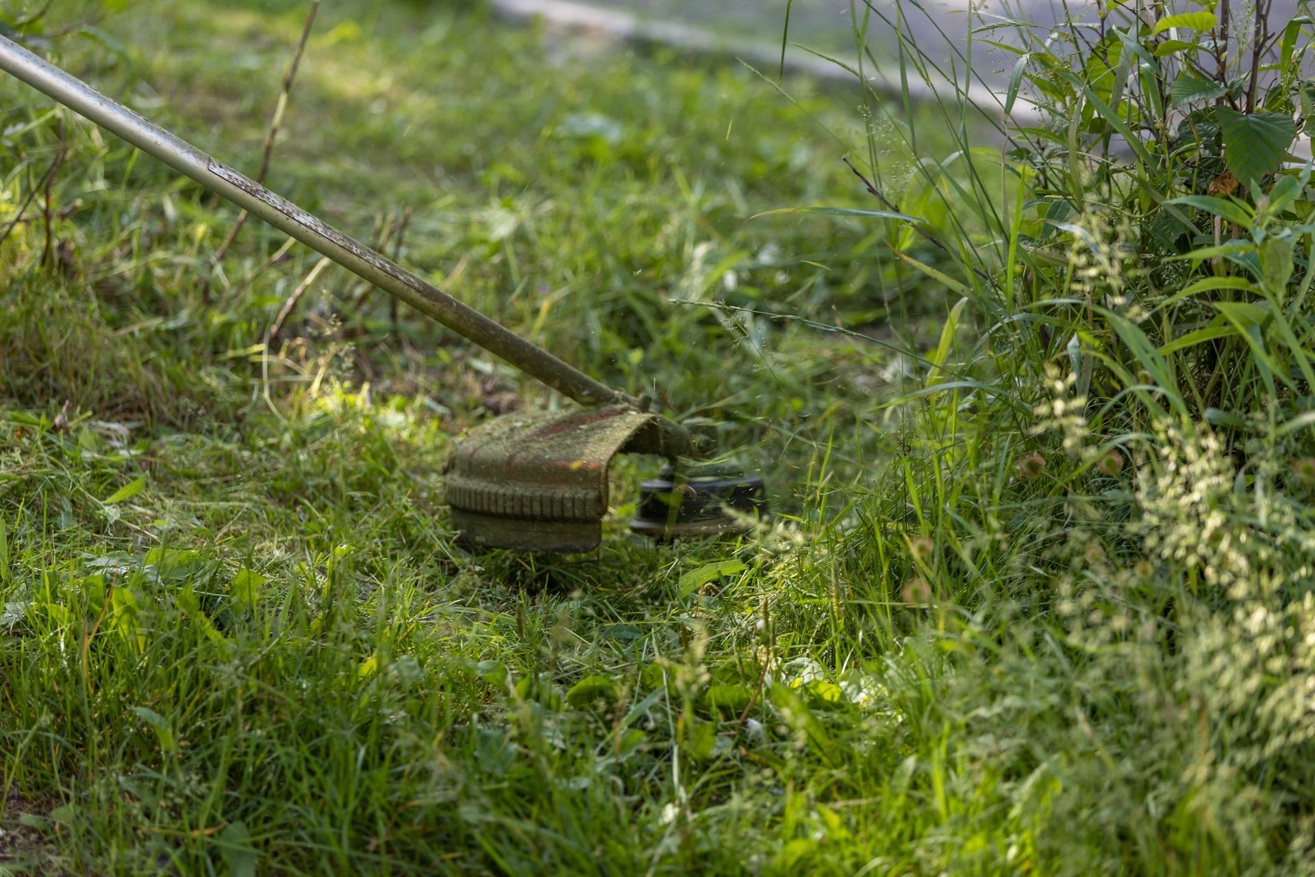 String trimmer edging a lush green lawn